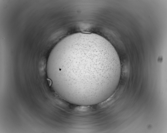 X0000102040082200808011520