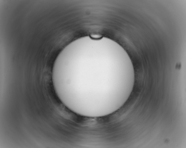 X0000102040083200808011520