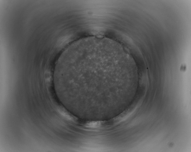 X0000102040084200808011520