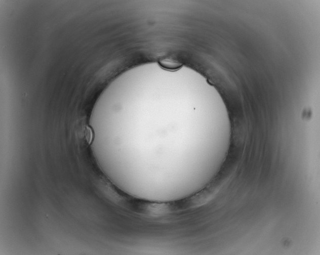 X0000102040085200808011520