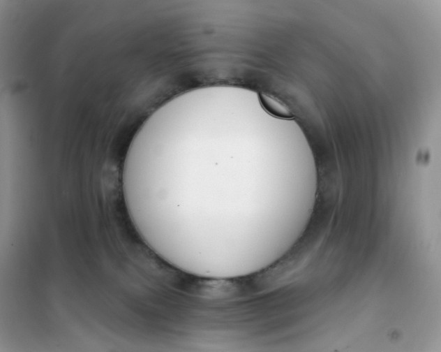 X0000102040087200808011520