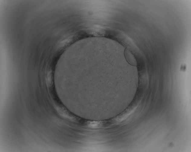 X0000102040088200808011520