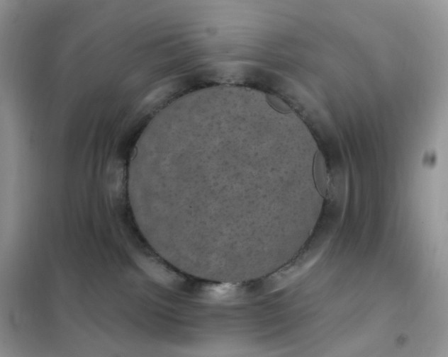 X0000102040092200808011520