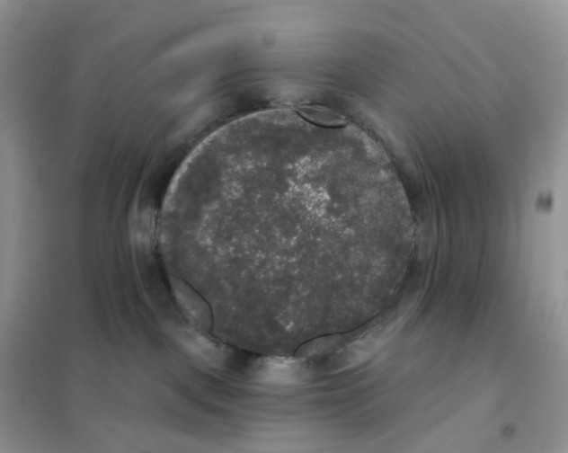 X0000102040093200808011520