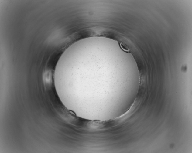 X0000102040094200808011521