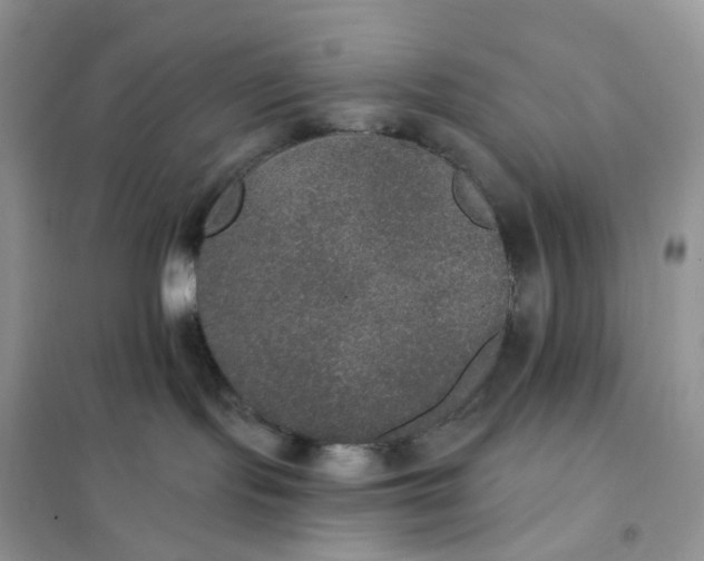 X0000102040095200808011521