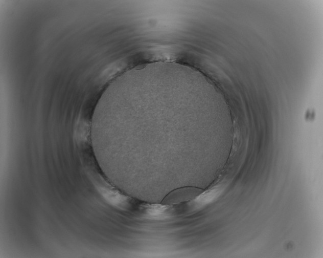 X0000102040096200808011521