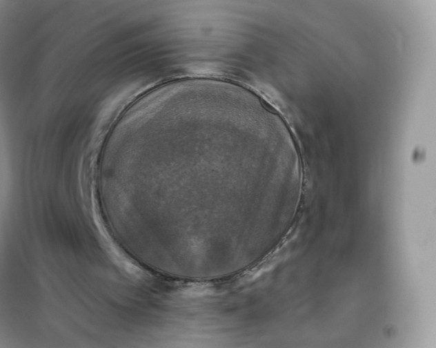 X0000102040097200808011520