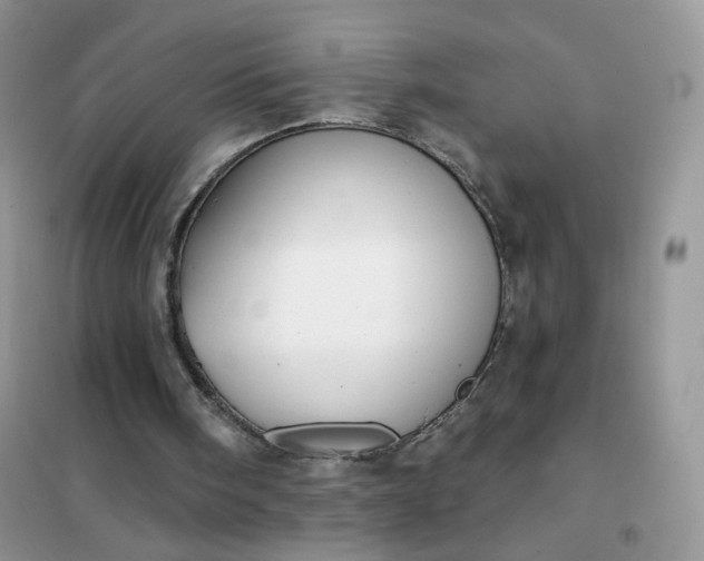 X0000102040098200808011520