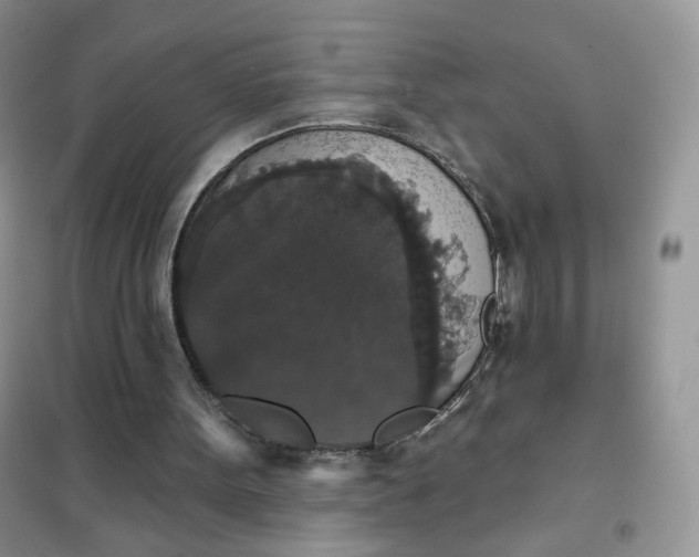 X0000102040099200808011520