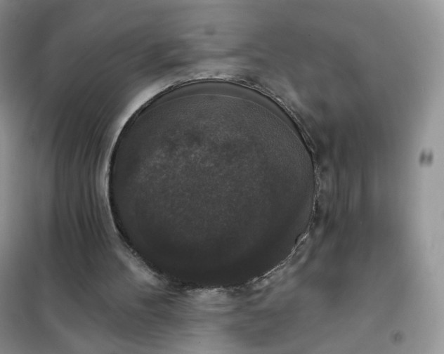 X0000102040100200808011520