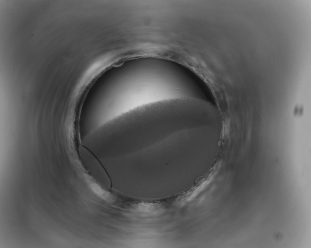 X0000102040101200808011520