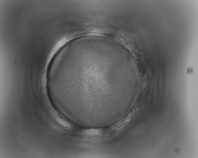 X0000102040102200808011520