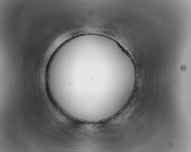 X0000102040103200808011520