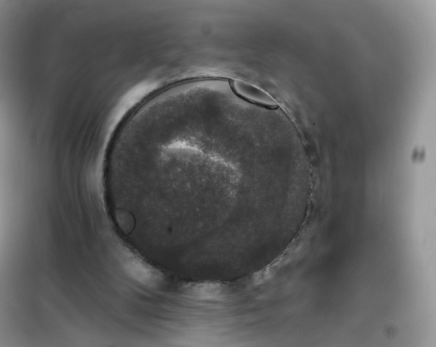 X0000102040104200808011520