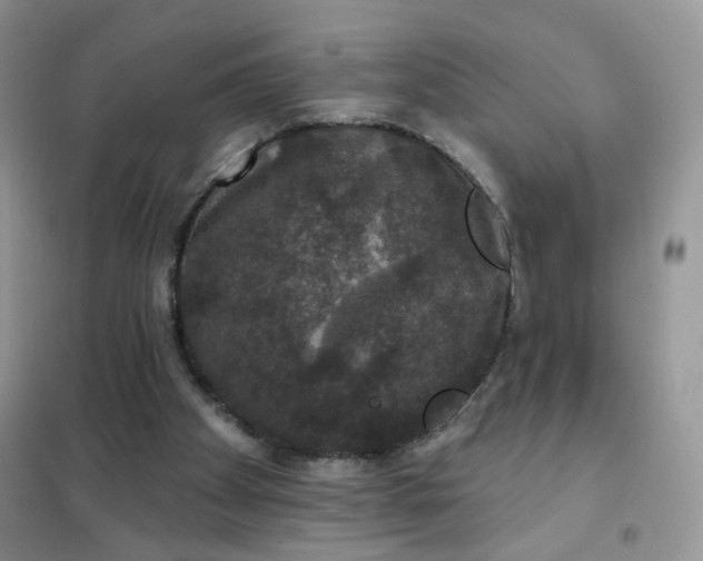 X0000102040105200808011520