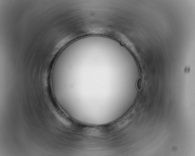 X0000102040106200808011520