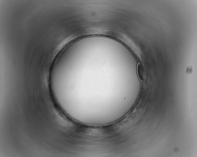 X0000102040107200808011520