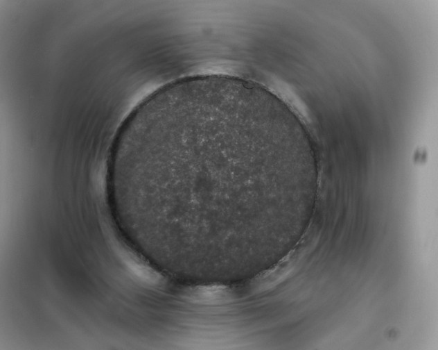 X0000102040108200808011520