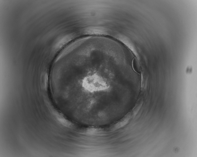 X0000102040109200808011520