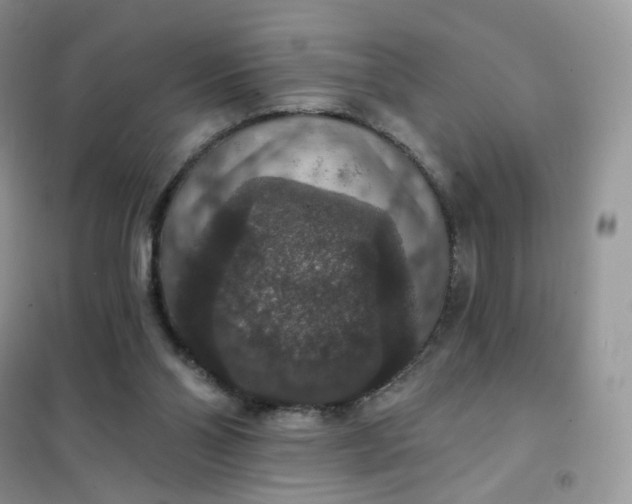 X0000102040110200808011520