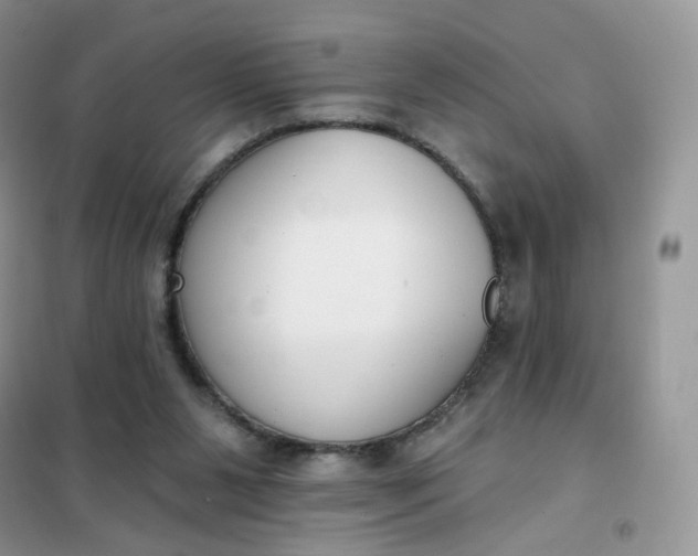 X0000102040111200808011520