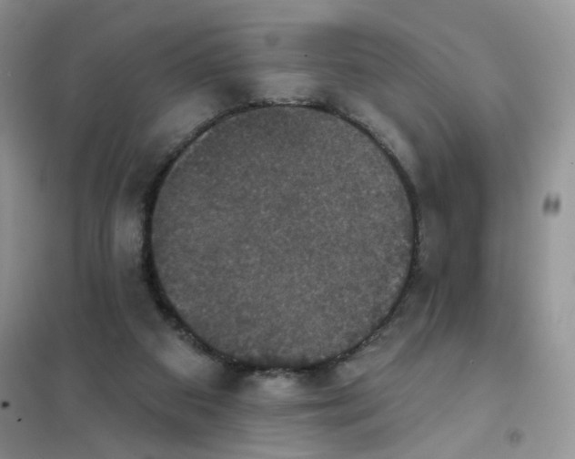 X0000102040113200808011520