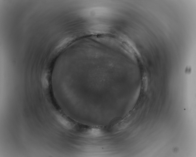 X0000102040114200808011520