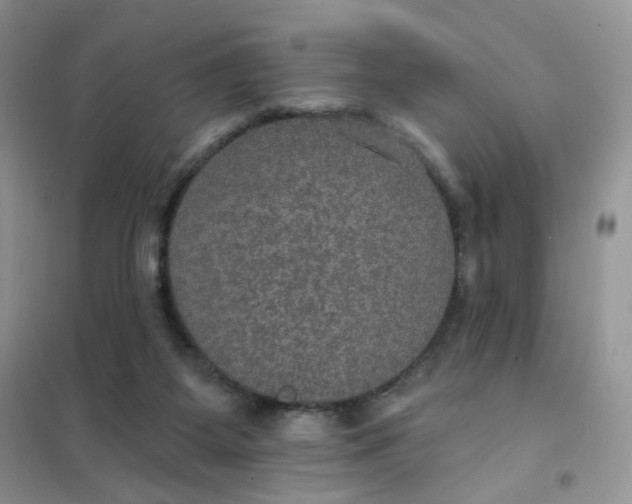 X0000102040115200808011519