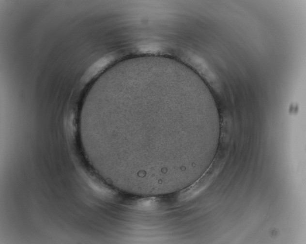 X0000102040116200808011519