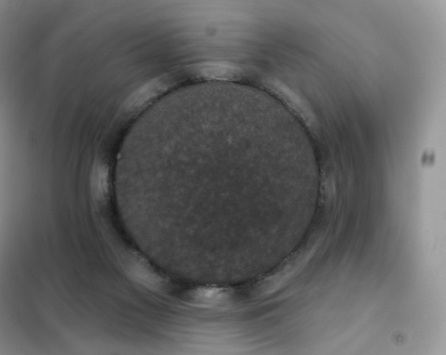 X0000102040117200808011519