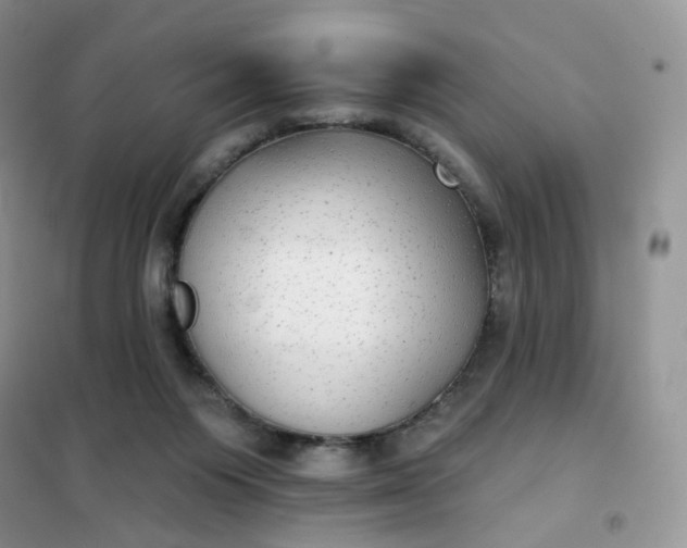 X0000102040119200808011519