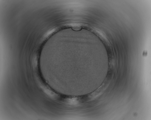 X0000102040120200808011519