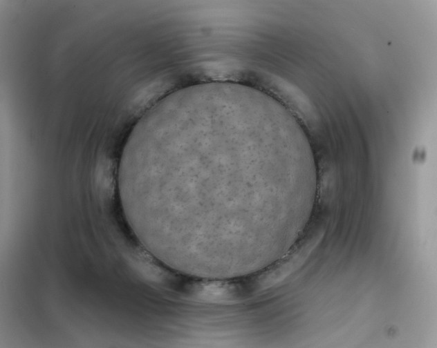 X0000102040121200808011519