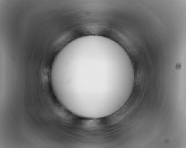 X0000102040122200808011519