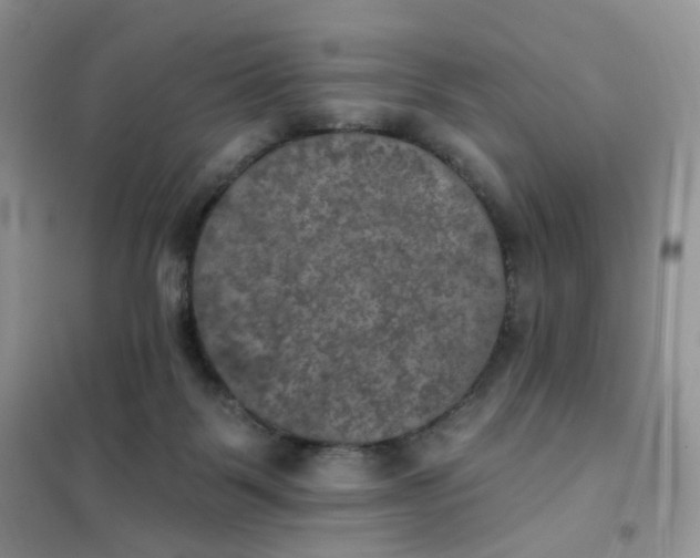 X0000102040123200808011519