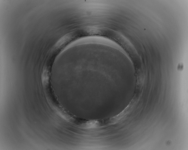 X0000102040124200808011519