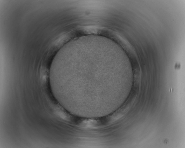 X0000102040125200808011519