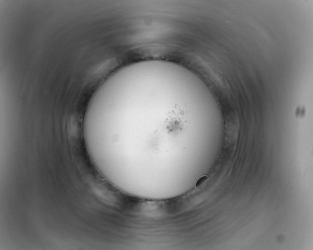 X0000102040126200808011519