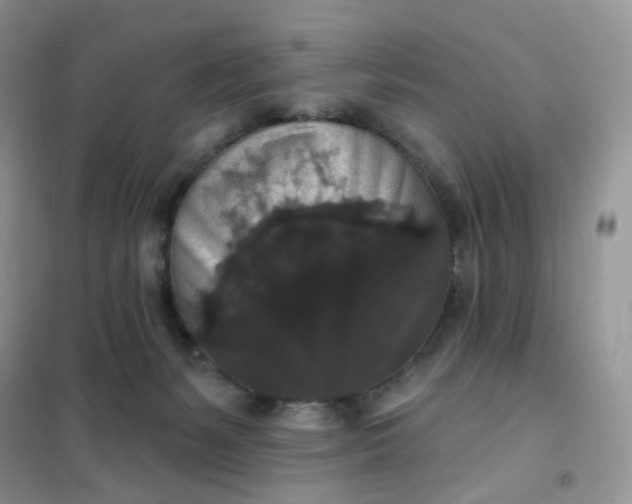 X0000102040127200808011519