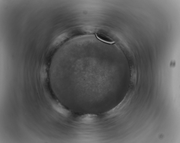 X0000102040128200808011519