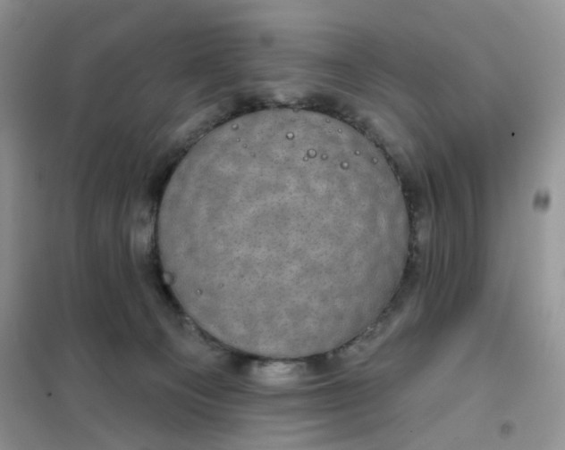 X0000102040129200808011519