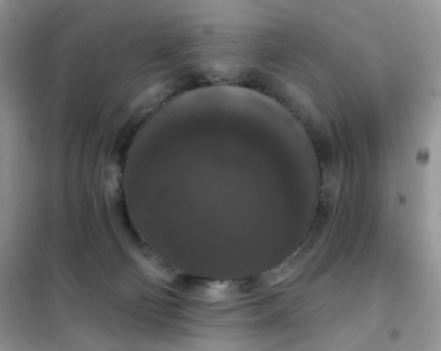 X0000102040130200808011519