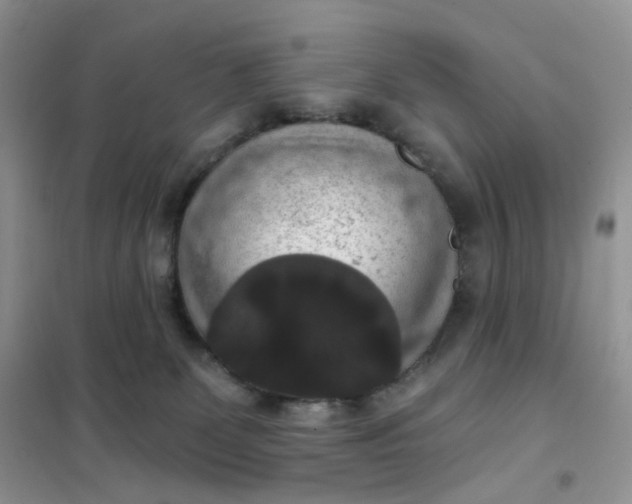 X0000102040131200808011519