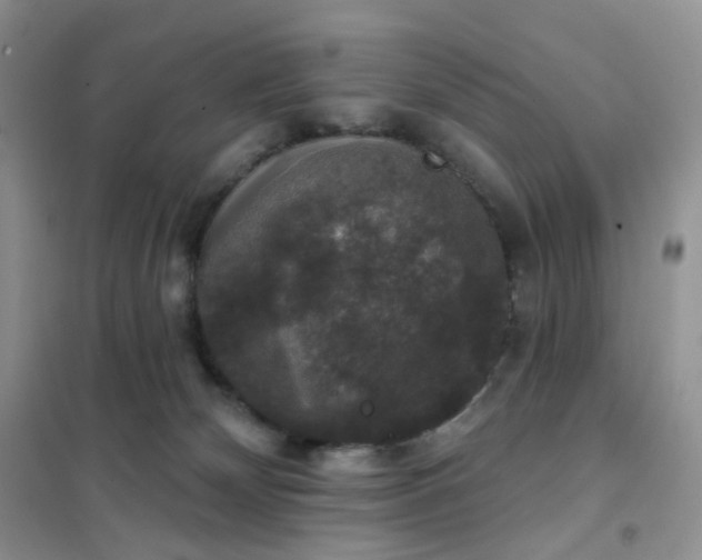 X0000102040132200808011519