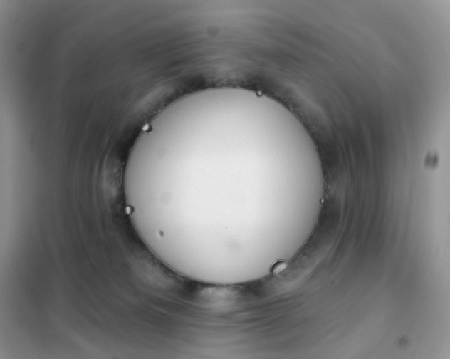 X0000102040133200808011519