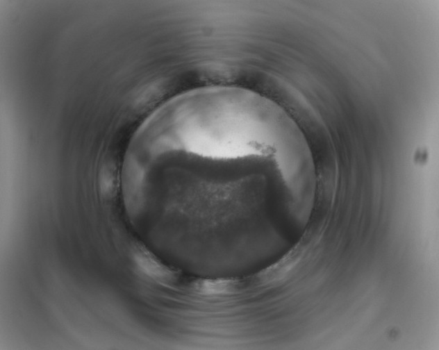 X0000102040134200808011519