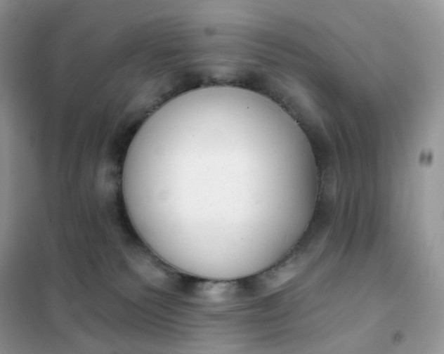 X0000102040135200808011519