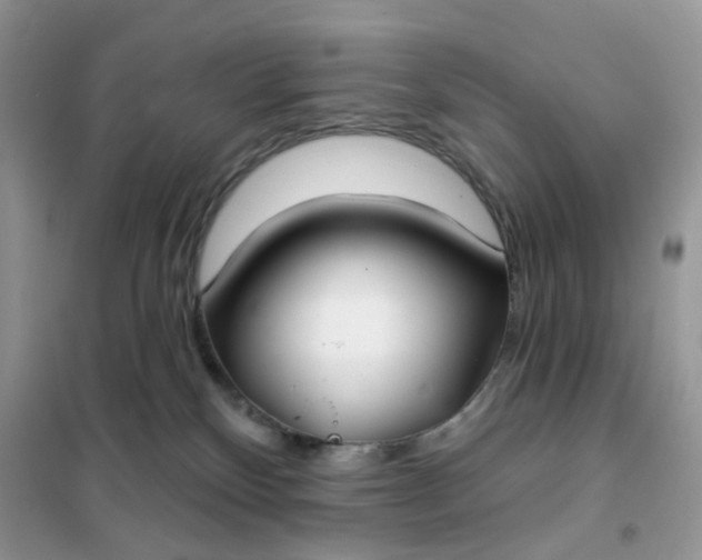 X0000102040136200808011519