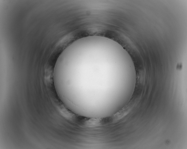 X0000102040138200808011519